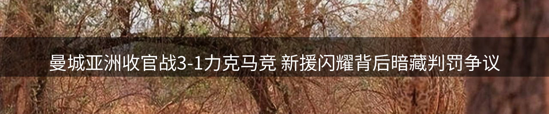 赛事资讯