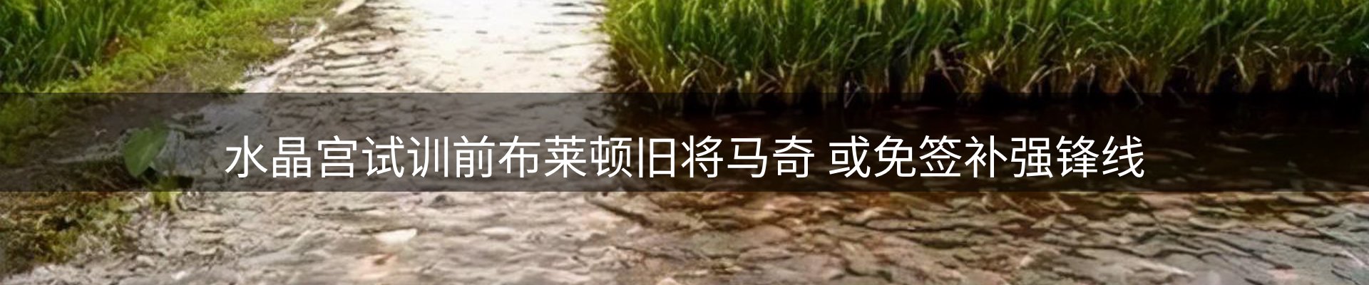 赛事资讯