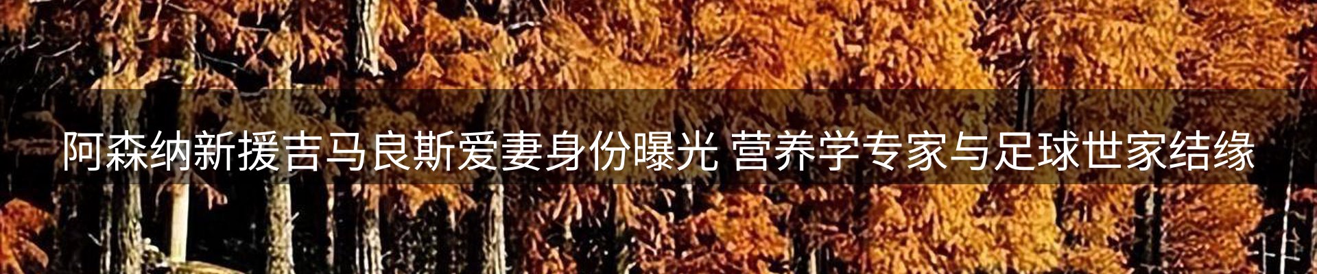 赛事资讯